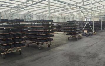 保定防水型<a href=http://www.tlxpmc.com/fwzhxt/ target=_blank class=infotextkey>蜂窩活性炭</a>廠家報價